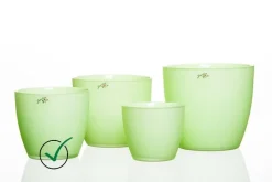 Blumentopf^Cristalica Blumentopf Silk hellgrün diverse Gr