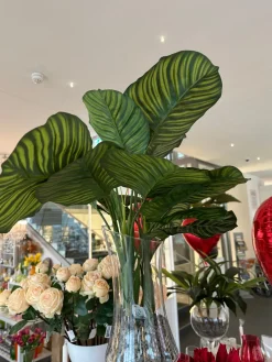 Kunstblumen^Cristalica Calathea rotundifolia (Korbmaranthe) Kunstpflanze