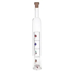 Geburtstag|Flaschen^Fan Unikate Geschenkflasche Früchte Flasche mit Gläsern 375ml