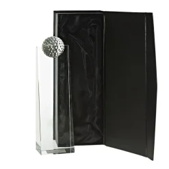 Pokal & Glasblock^Fan Unikate Glastrophäe Tania Pokal 26cm