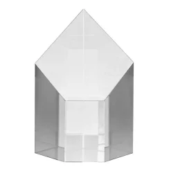 Pokal & Glasblock^Fan Unikate Glastrophäe Tiger Pokal 15,5cm