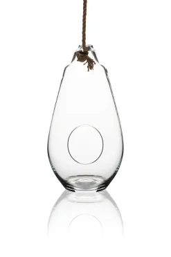 Xxl|Vasen^Cristalica Kingdom Glasvase Campana Famous 35cm Pflanzgefäß mit Loch zum Hängen Klarglas Geschenk