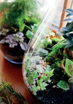 Xxl|Vasen^Cristalica Kingdom Glasvase Campana Famous 35cm Pflanzgefäß mit Loch zum Hängen Klarglas Geschenk