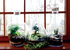 Xxl|Vasen^Cristalica Kingdom Glasvase Campana Famous 35cm Pflanzgefäß mit Loch zum Hängen Klarglas Geschenk