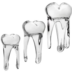 Jubiläum|Skulpturen^Art Glass Glaszahn Trophäe div. Größen/Farben