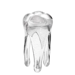 Jubiläum|Skulpturen^Art Glass Glaszahn Trophäe div. Größen/Farben