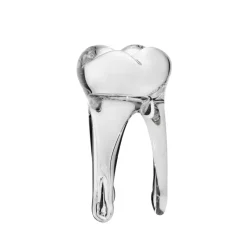 Jubiläum|Skulpturen^Art Glass Glaszahn Trophäe div. Größen/Farben