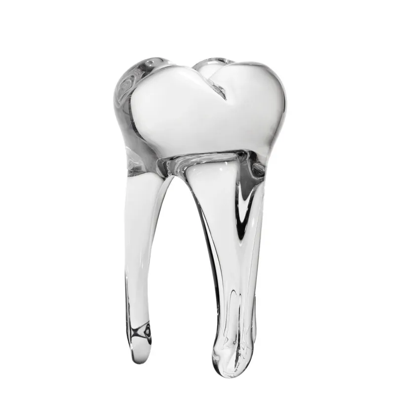 Jubiläum|Skulpturen^Art Glass Glaszahn Trophäe div. Größen/Farben