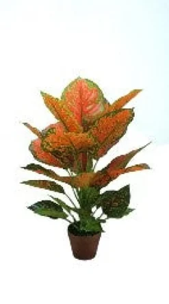 Kunstblumen^Cristalica Grün Diffenbachia Kunstbaum