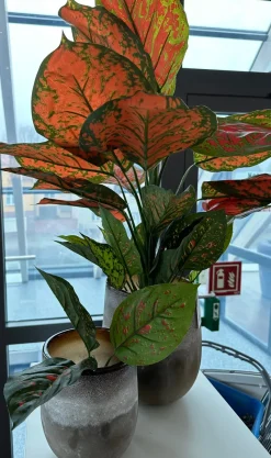 Kunstblumen^Cristalica Grün Diffenbachia Kunstbaum