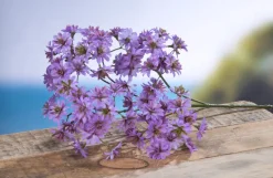 Ostern|Ostern^Dekorationswaren Kunstblume Anemonenzweig "Pamina" lila (48cm)