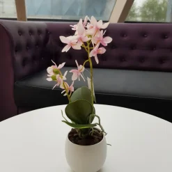 Ostern|Ostern^Cristalica Kunstblume Orchidee im Keramiktopf weiß-rosa 34cm