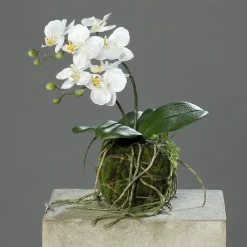 Ostern|Ostern^Cristalica Kunstblume Orchidee mit Erdballen creme