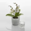Orchideentopf & Stäbe|Kerzenhalter^Glaswaren sonstige Orchideentopf aus Glas weiß Alabaster 10cm Übertopf Windlicht Votiv Dekoration