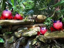 Tiere & Figuren^Cristalica Outdoor Objekt Crusty 61cm