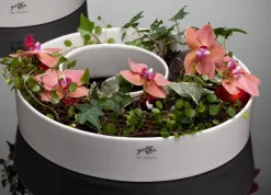 Schalen^Glaswaren sonstige Porzellanschale Ring 22,5 cm für Windlicht