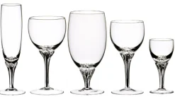 Frauen|Sektgläser^Glaswaren sonstige Sektglas Exquisite (200ml)