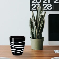 Gläserset^Cristalica Wasserglas Koralle 4er-Set 320ml